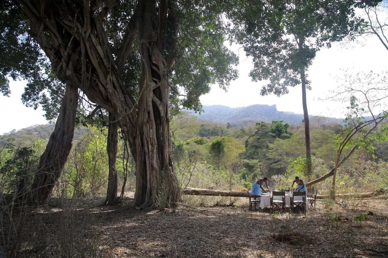 Kitich Camp - Bush Breakfast.jpg