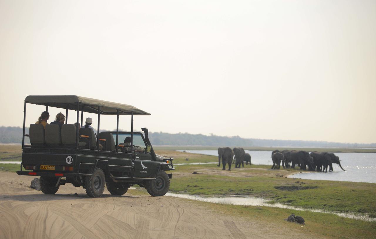 Chobe_under_canvas_gamedrive1.jpg