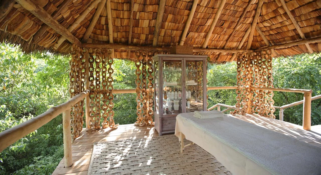 Manyara_Tree_Lodge_2014-33.1.jpg