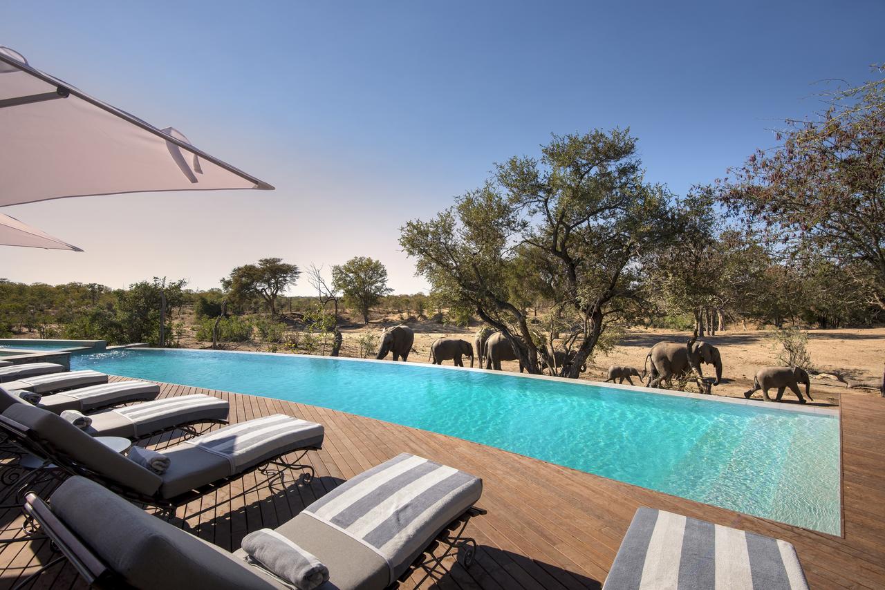 andbeyond-ngala-safari-lodge-pool1.jpg