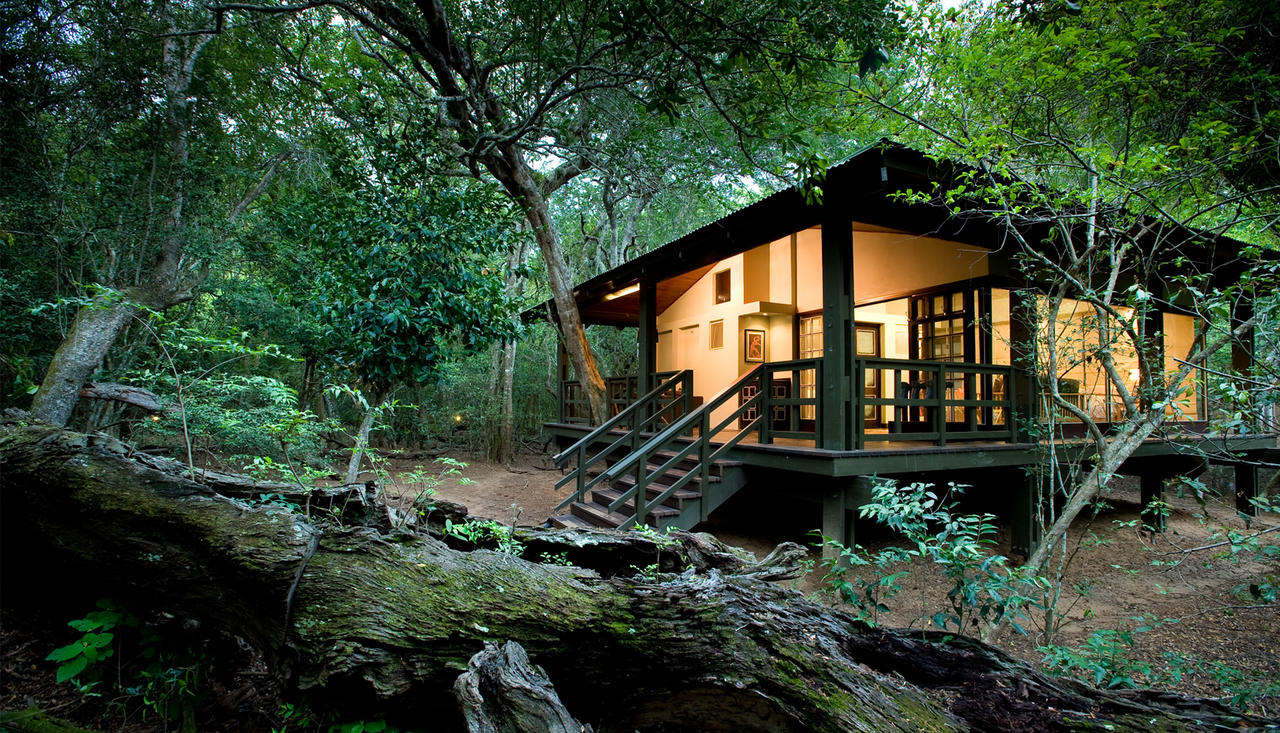 phinda-forest-lodge-room21.jpg