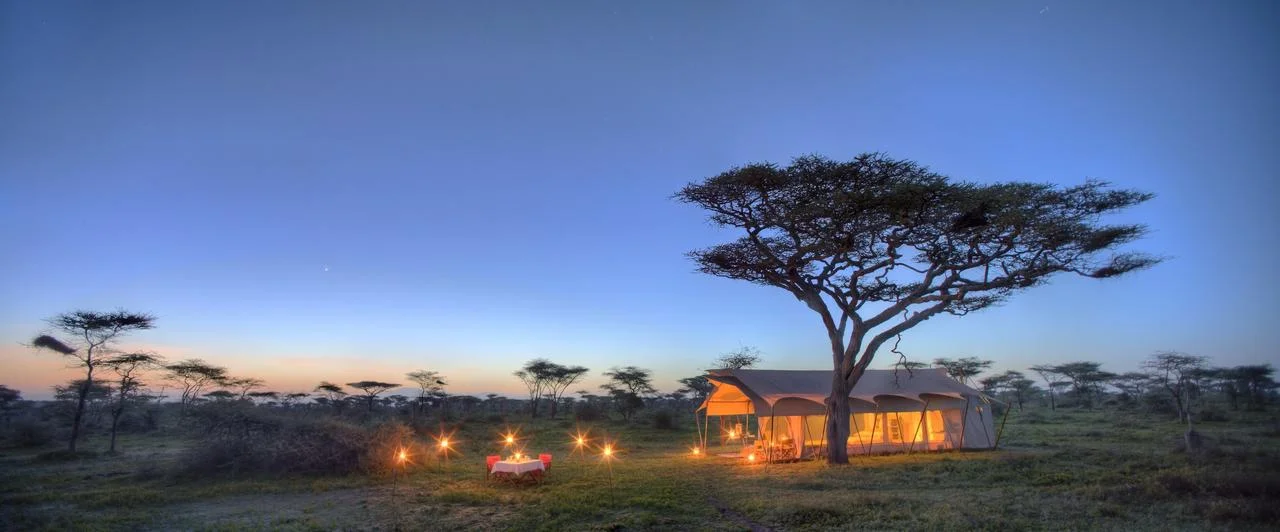 Serengeti_UC_2014-226.1.jpg