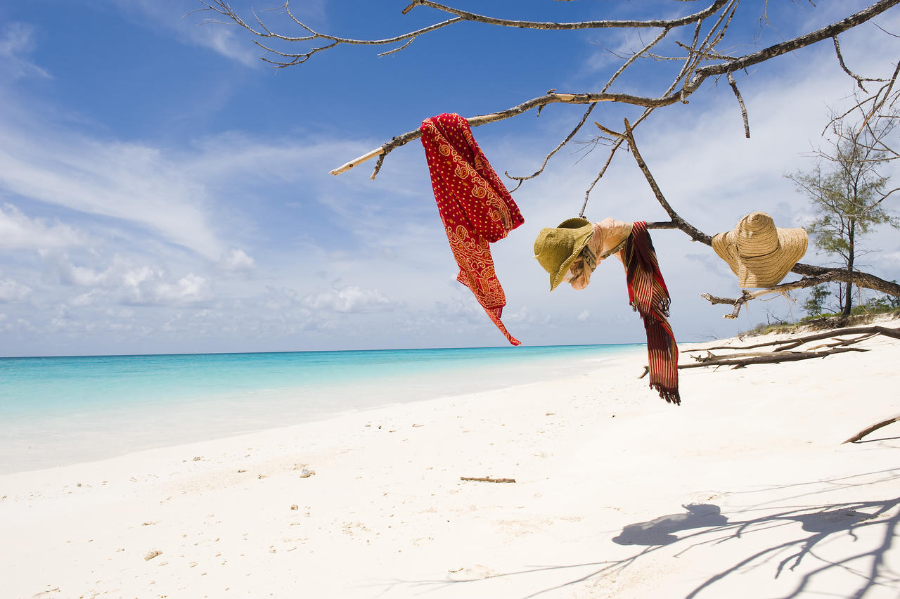 vamizi-island-beach.jpg