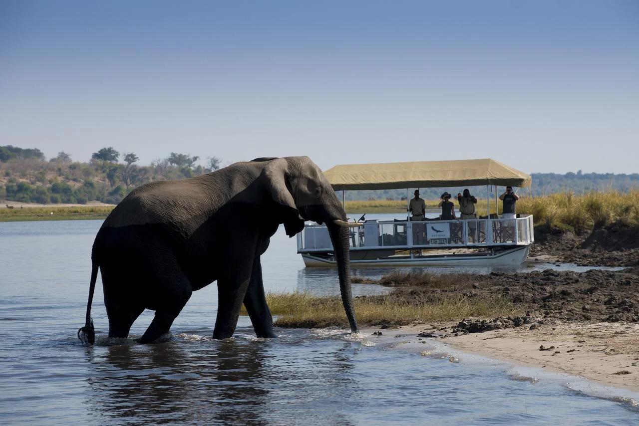 expeditions_chobe_185_private_boat_cruises_on_the_chobe_river2.jpg