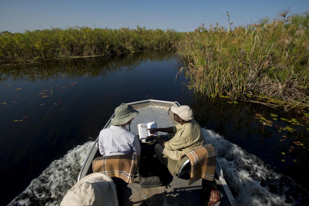 expeditions_okavango_219_private_boat_cruises1.jpg