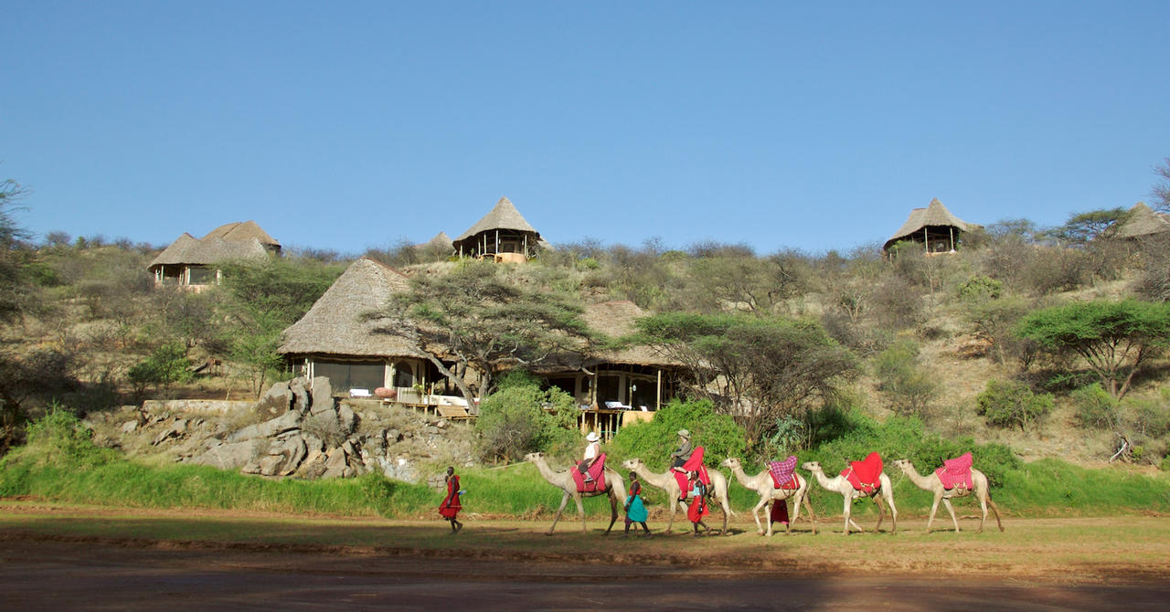 SASAAB - Camels infront of the lodge.jpg
