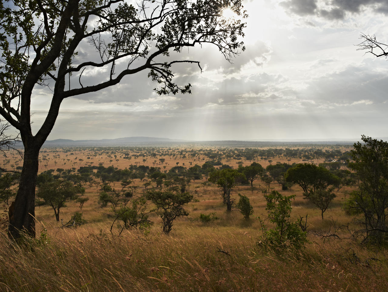 Singita_Explore_11.jpg
