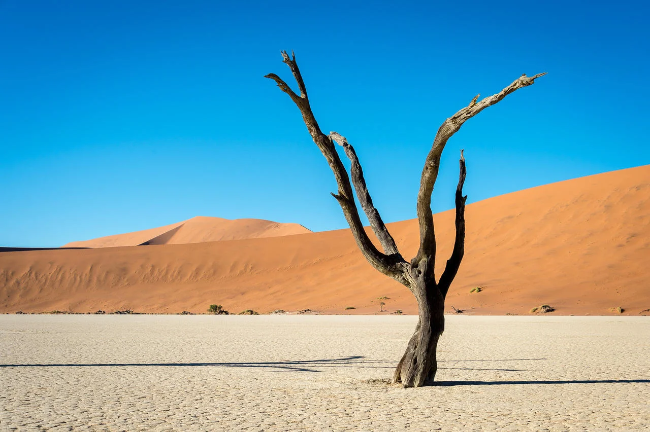 Kulala-Namib_2014-12-171e.jpg