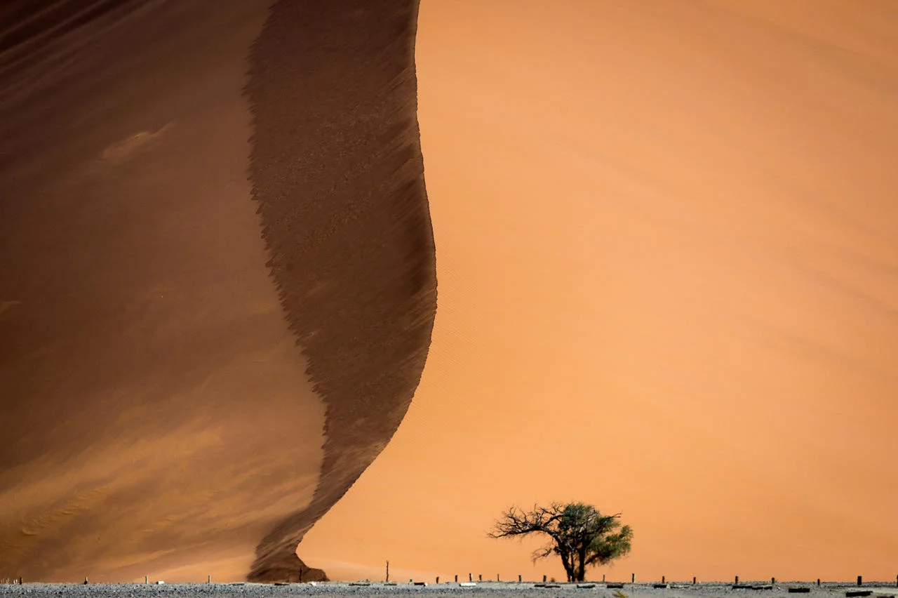 Kulala-Namib_2014-12-225e.jpg