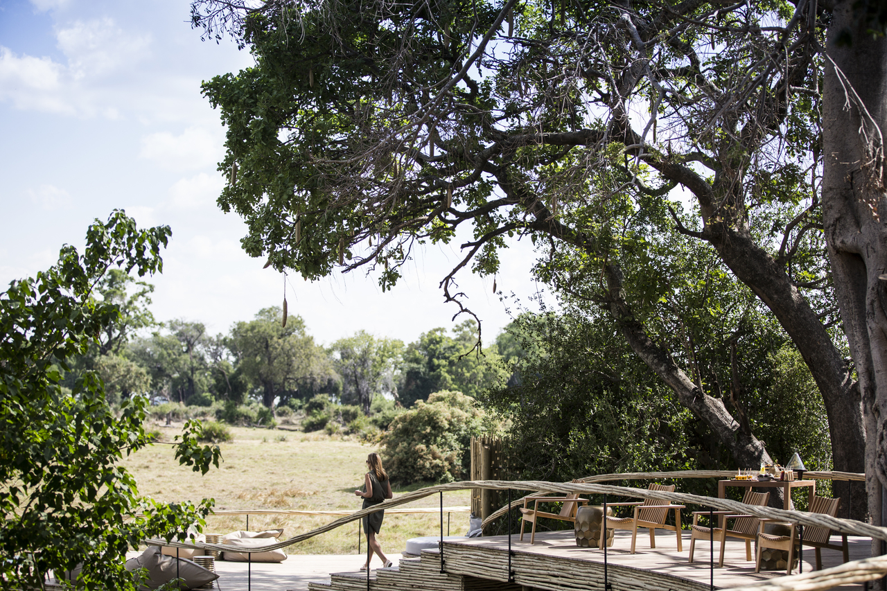 LittleMombo-Wilderness-CrookesandJackson-17-5307.jpg