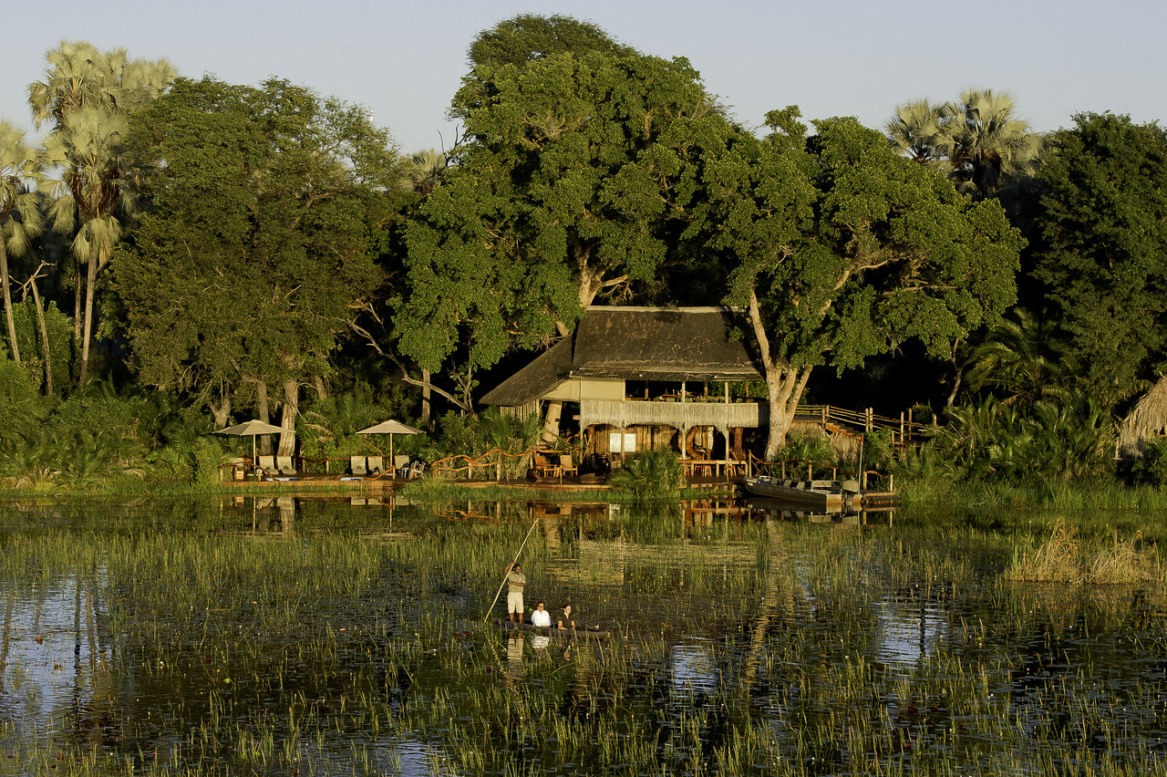 Jacana060.jpg