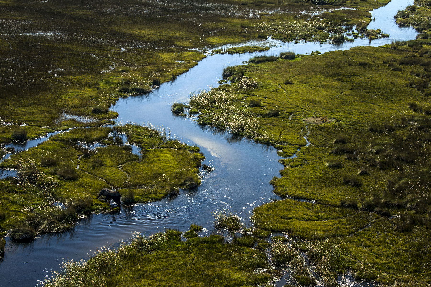 dubaexplorers-elephantokavangodelta.jpg