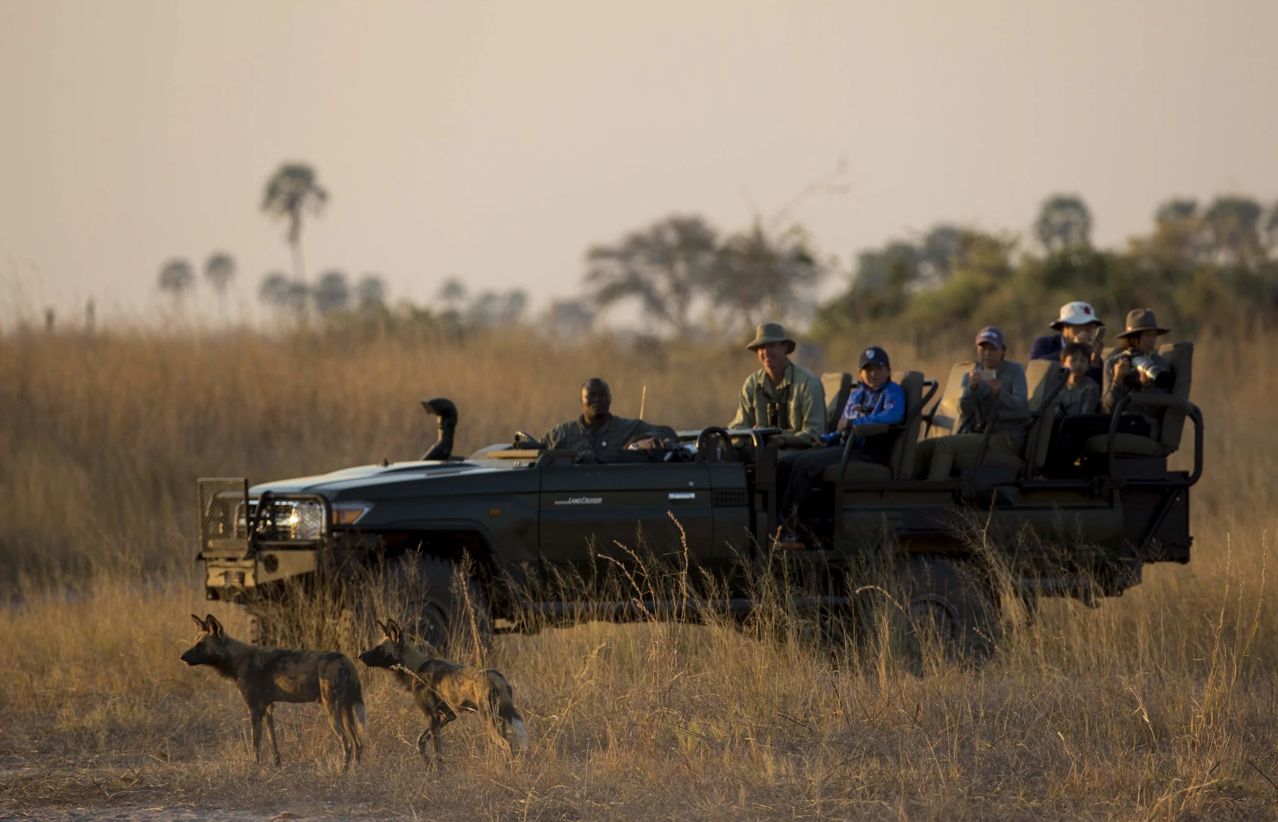 selinda_reserve_gamedrive-greatplainsconservation-95.jpg