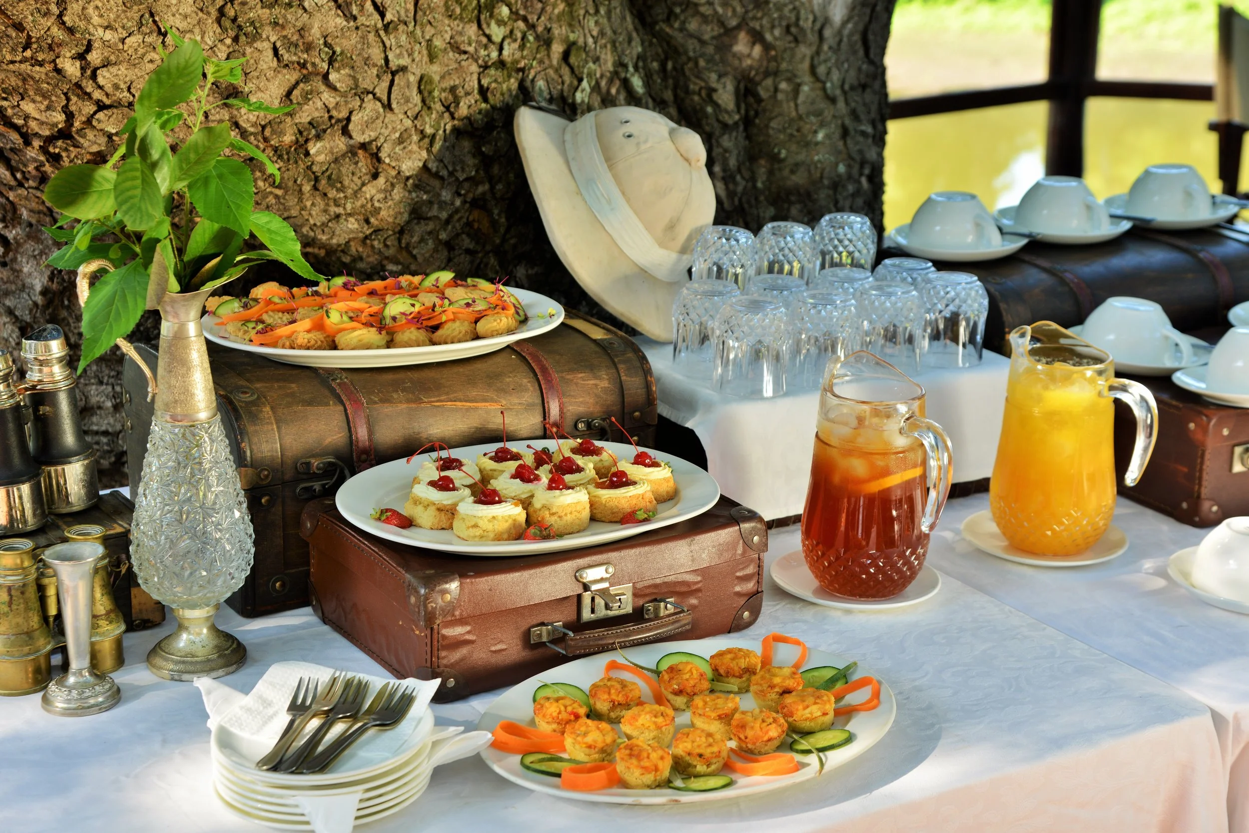 hamiltons_tented_camp_-_buffet.jpg