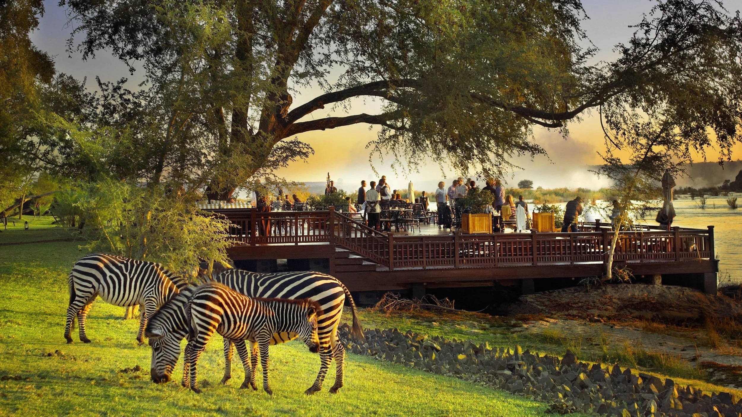 The Sundeck with zebras in the foreground1.jpg