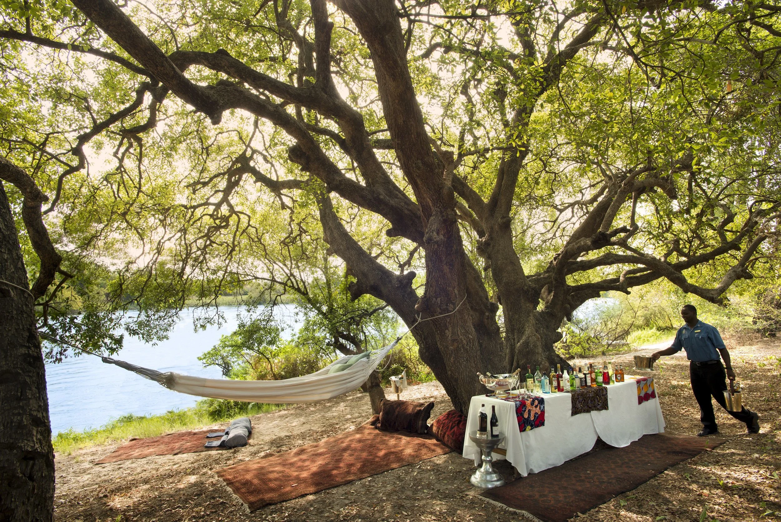 lrc_picnic.jpg
