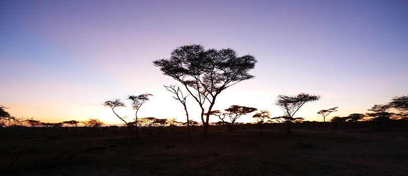 Olakira-Camp-south-Landscape-029.jpg