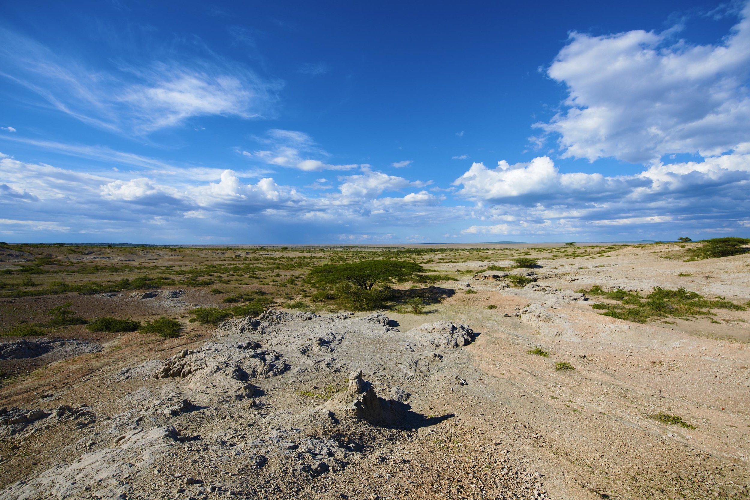 Ubuntu-Camp-area-Serengeti-MR.jpg