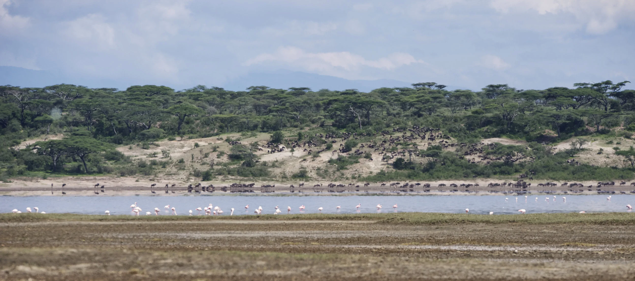Dunia-Safari.jpg