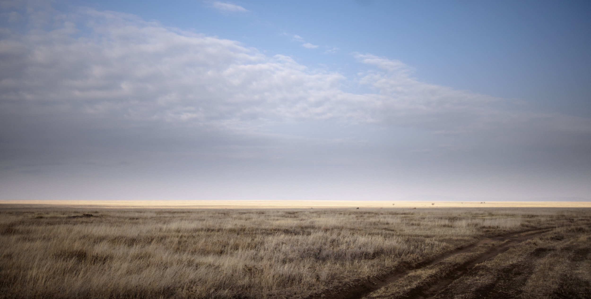 Serengeti-Scenery-Eric-Frank-MR.jpg
