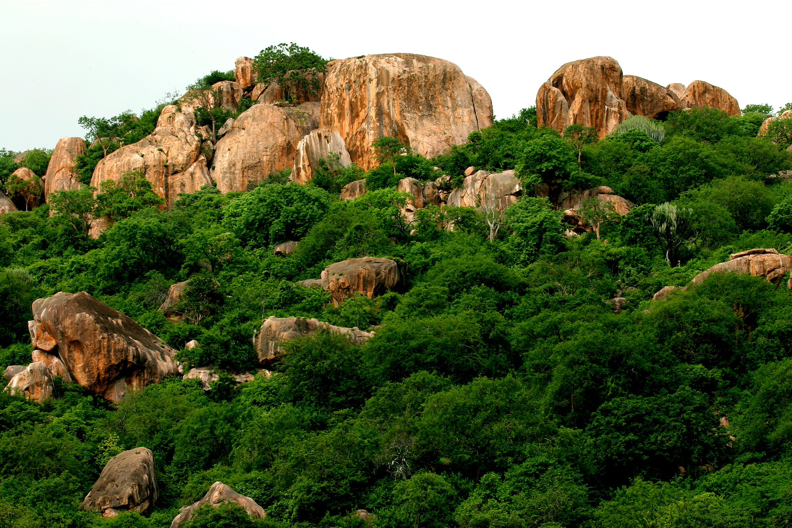 Kwihala-Camp-scenery-kopje-MR.jpg