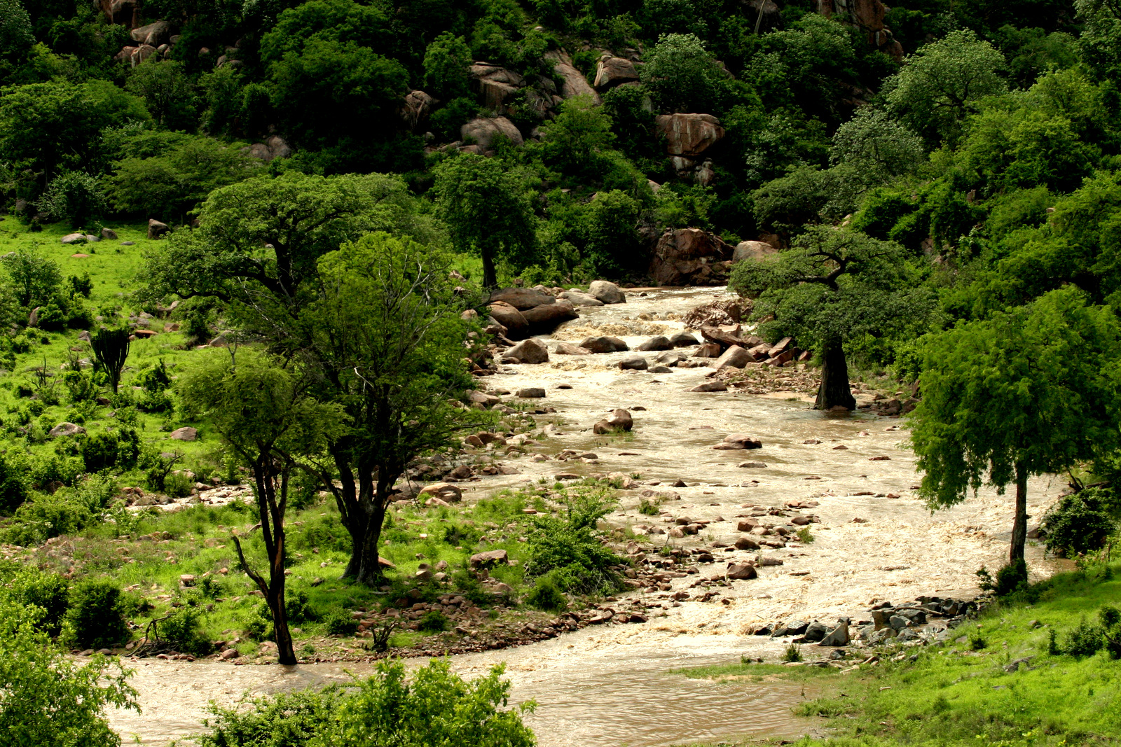 Ruaha-National-Park-River-Kwihala-Camp-MR-(1).jpg