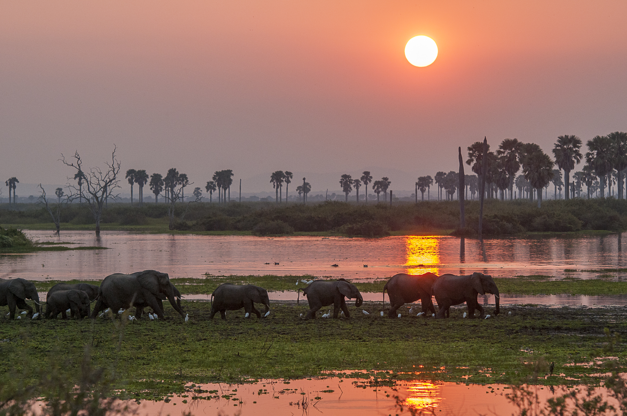 Selous-river-sunset-RR.jpg
