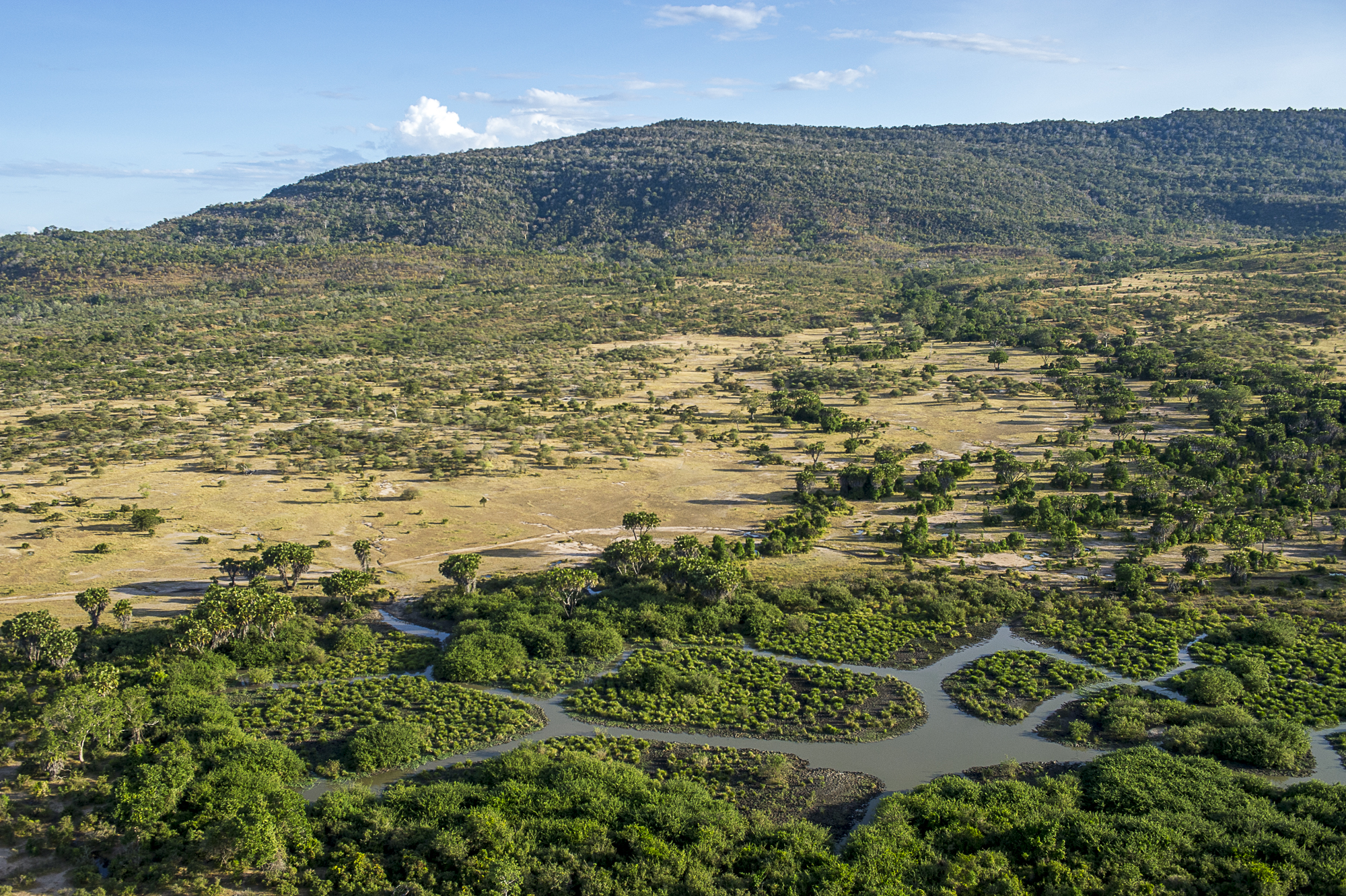 Selous-from-the-air-RR.jpg