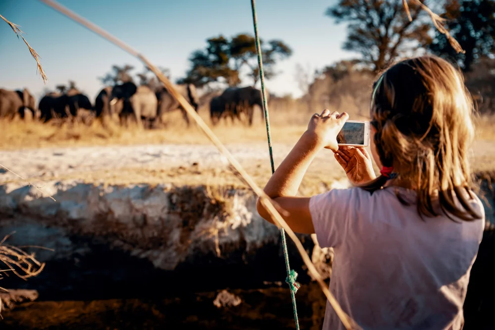 great migration safari.jpg
