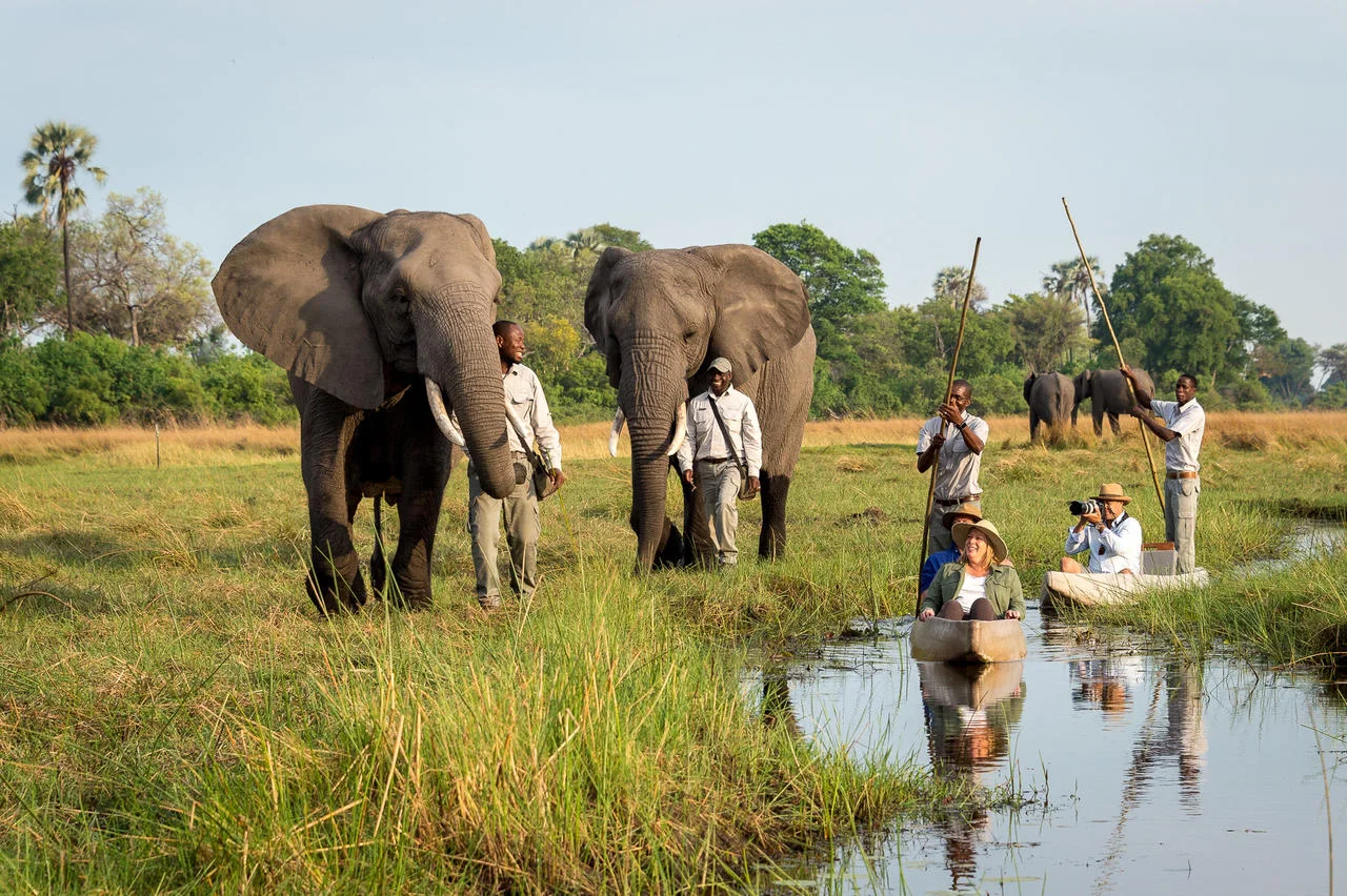 Abu Camp by Wilderness - Botswana