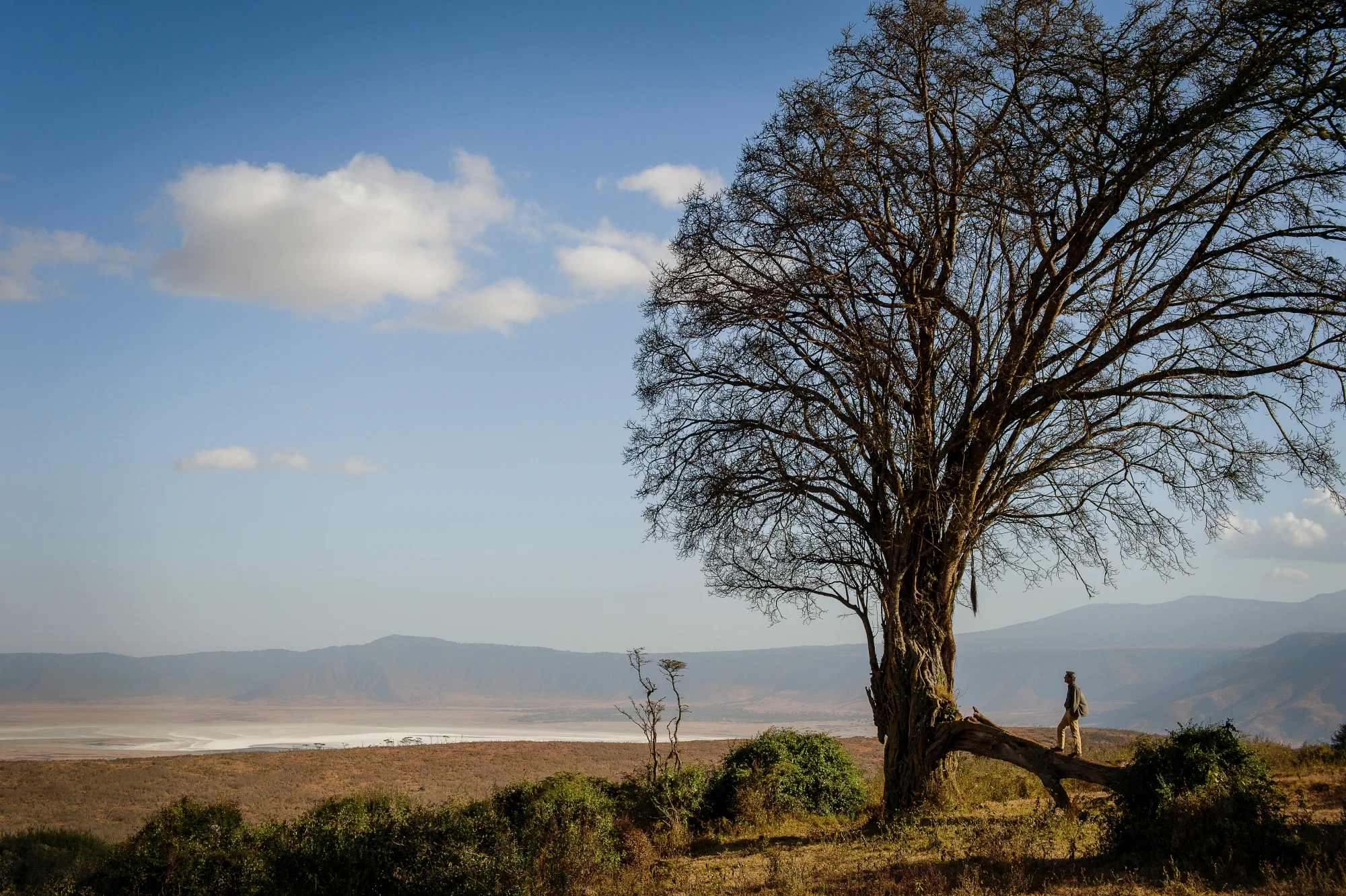 Ngorongoro Crater - Ang’ata Serengeti