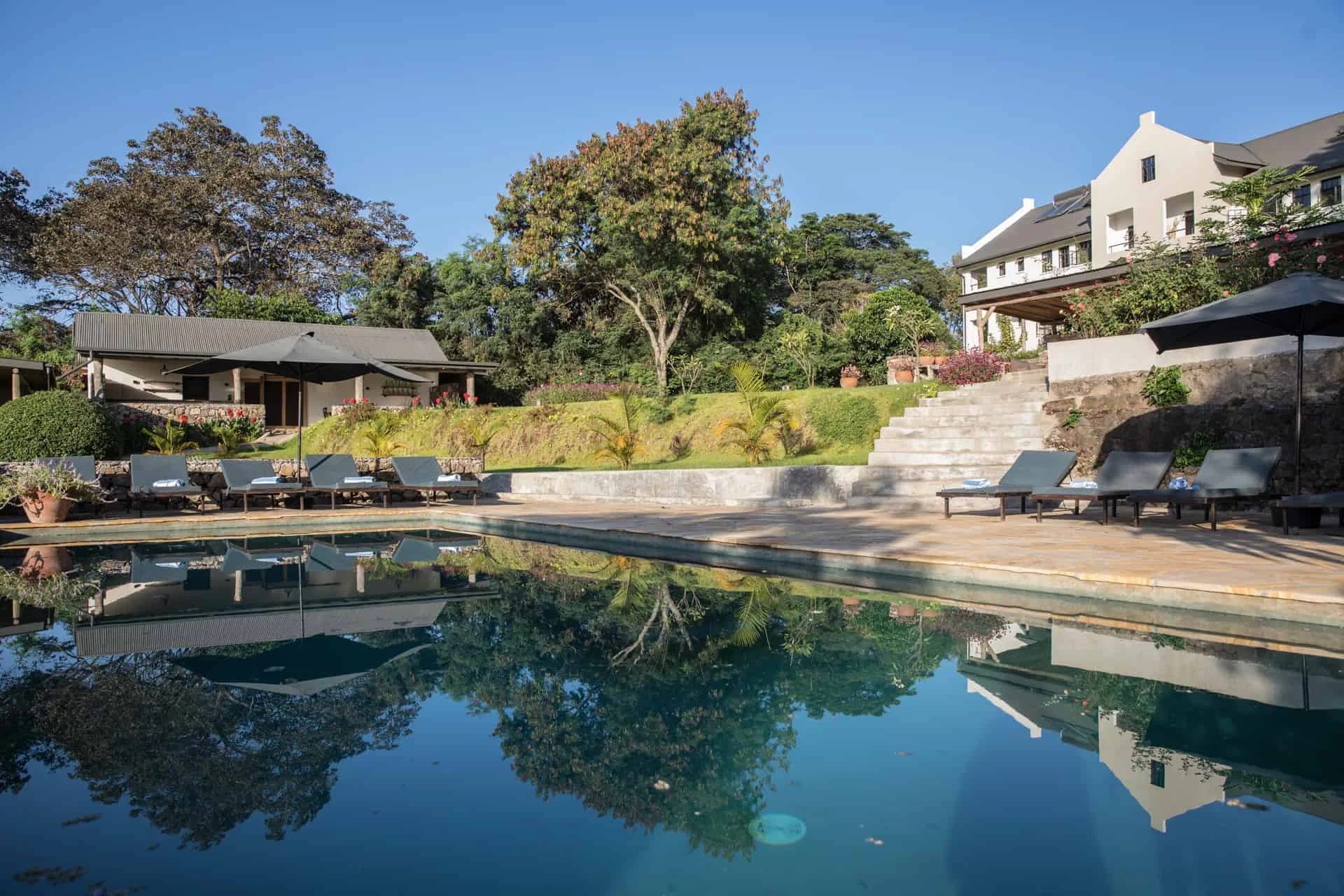 Swimming Pool And Lounge - Arusha Villa