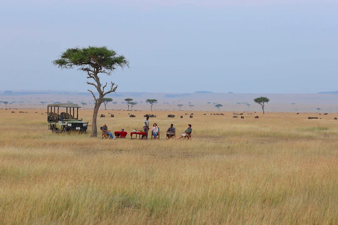 Lunch On Safari - Kimondo Migration Camp