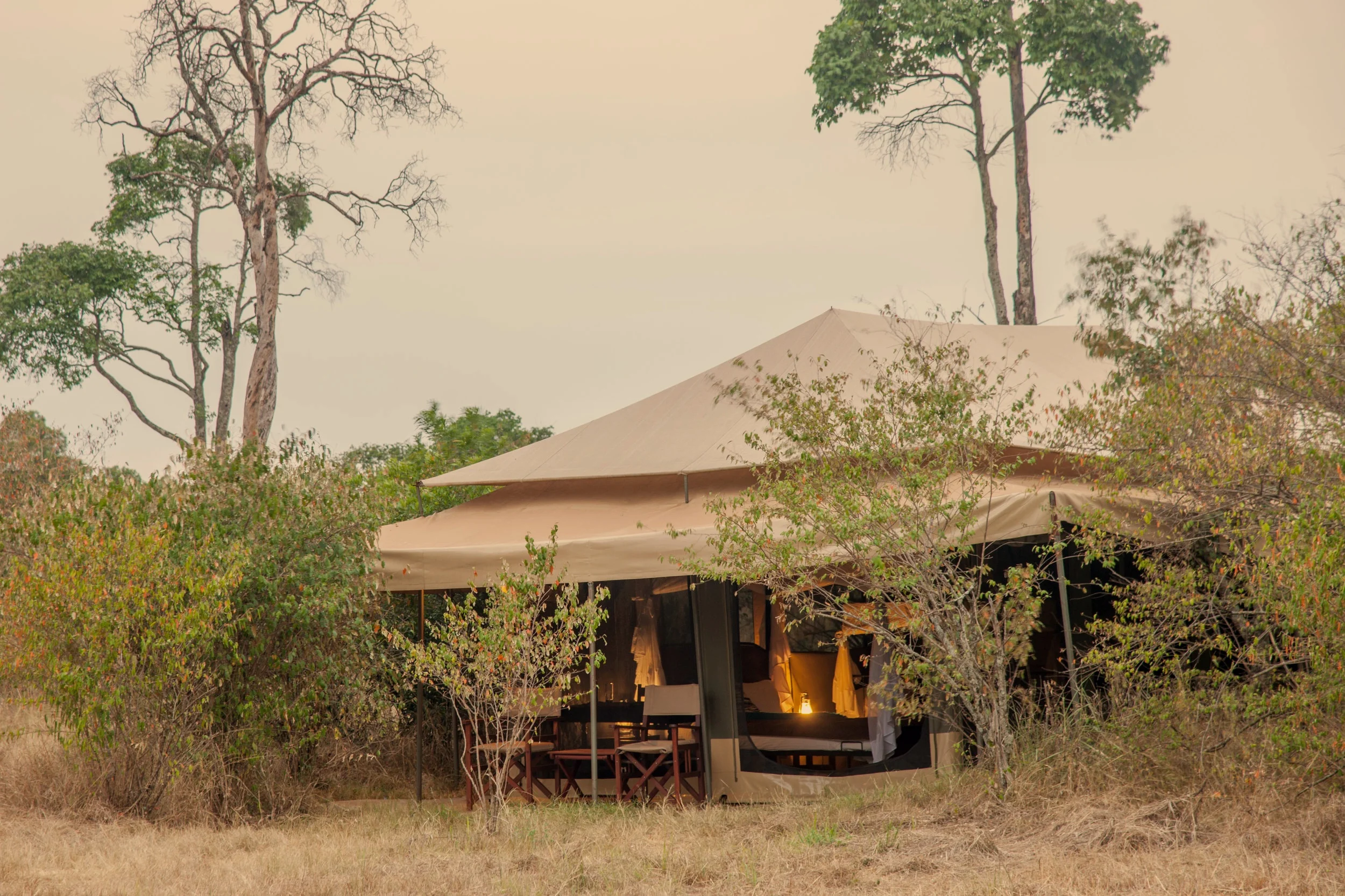 acacia+migration+camp.jpg