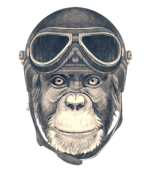 image4.png