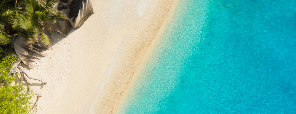 shutterstock_1141044188.jpg