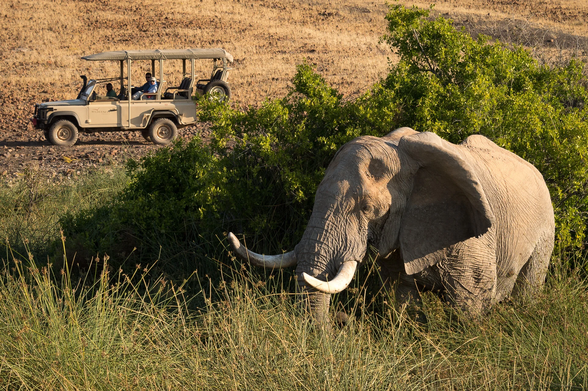 Desert_Rhino_Camp_2014-08-80e.jpg
