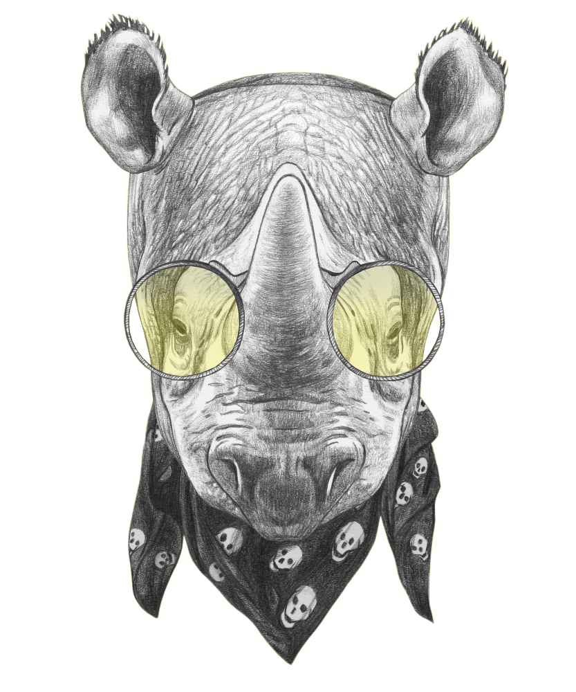 rhino_1.png