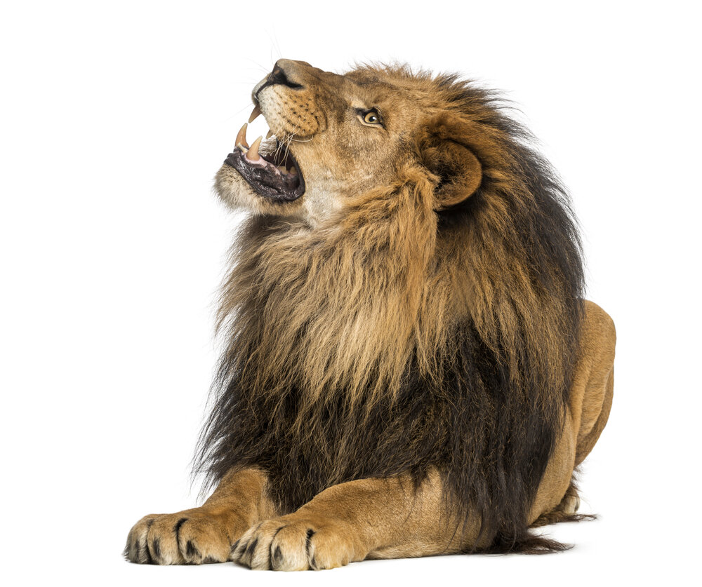 shutterstock_165448163.jpg