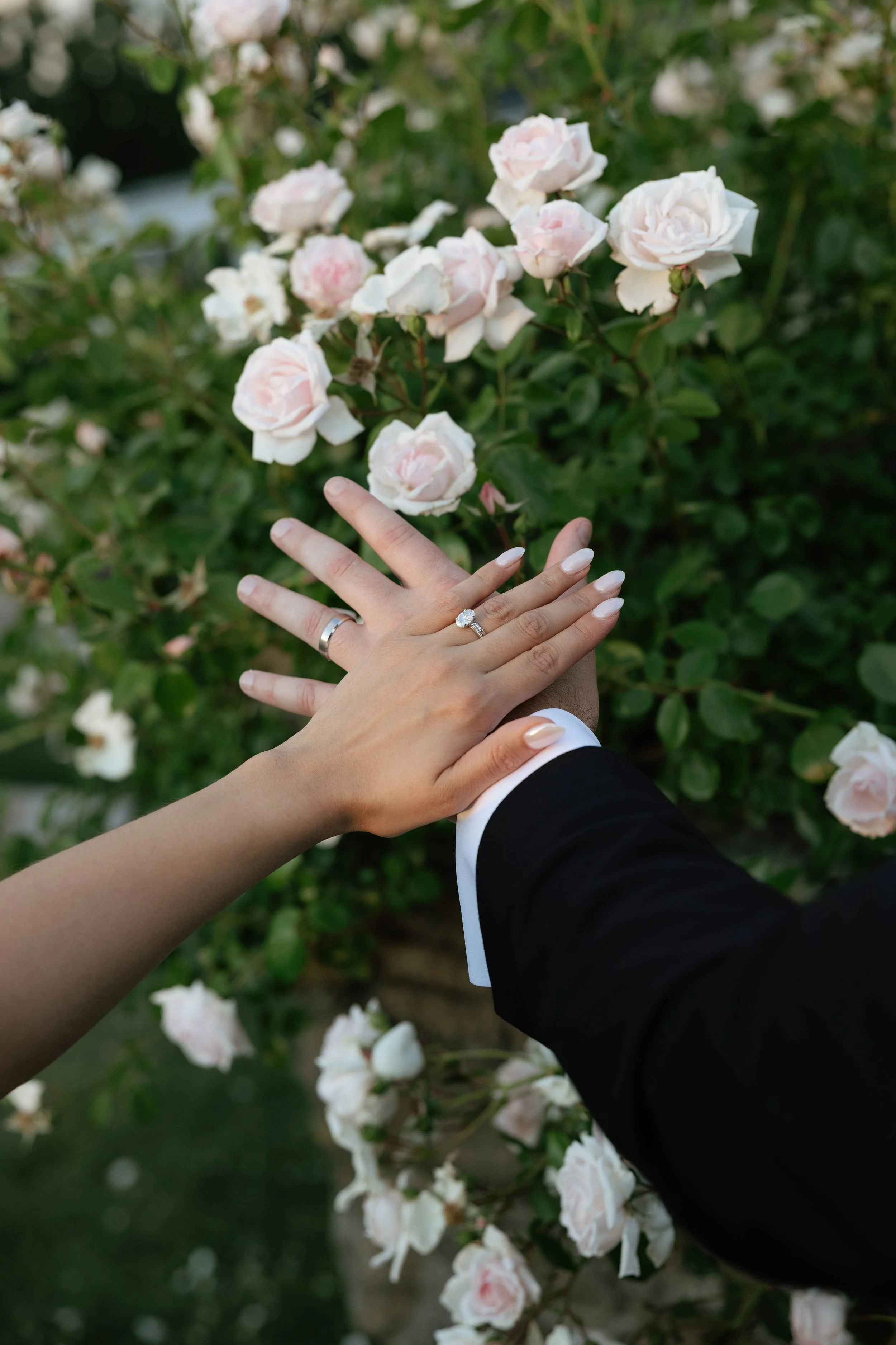 DuffyWedding-3859.jpg