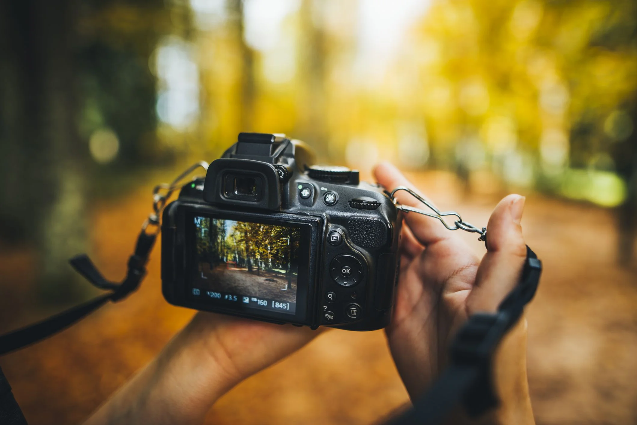 photography.jpg