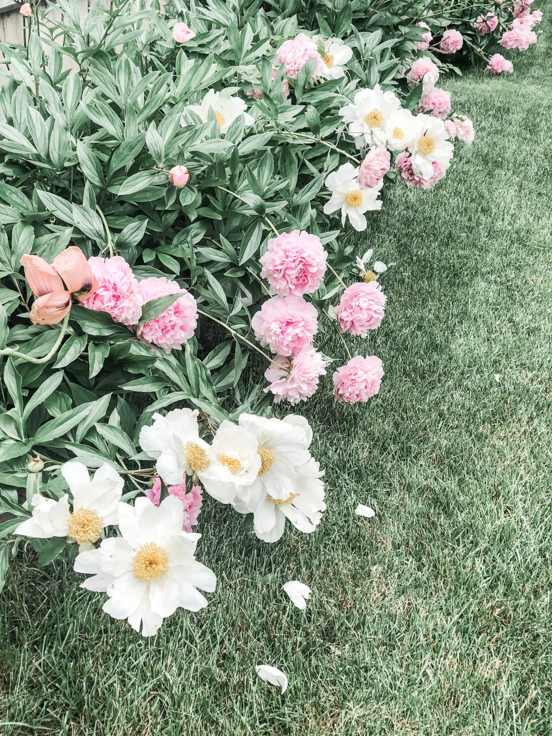 3 Fabulous Garden Walking Tours for Your Spring Travels