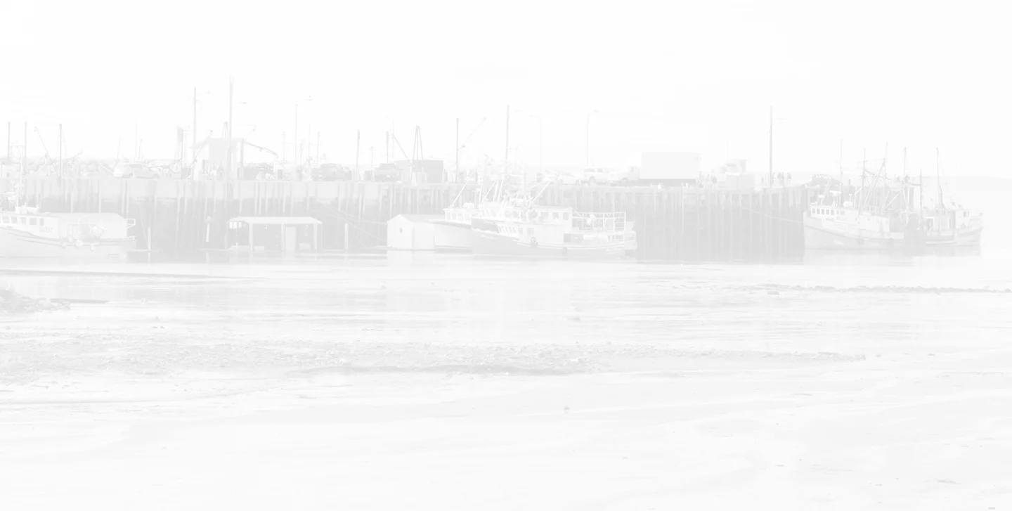 Wharf-Shot-1-resized.jpg