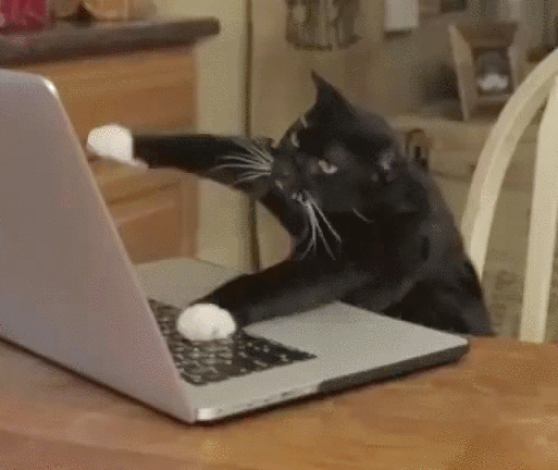 computercat.gif