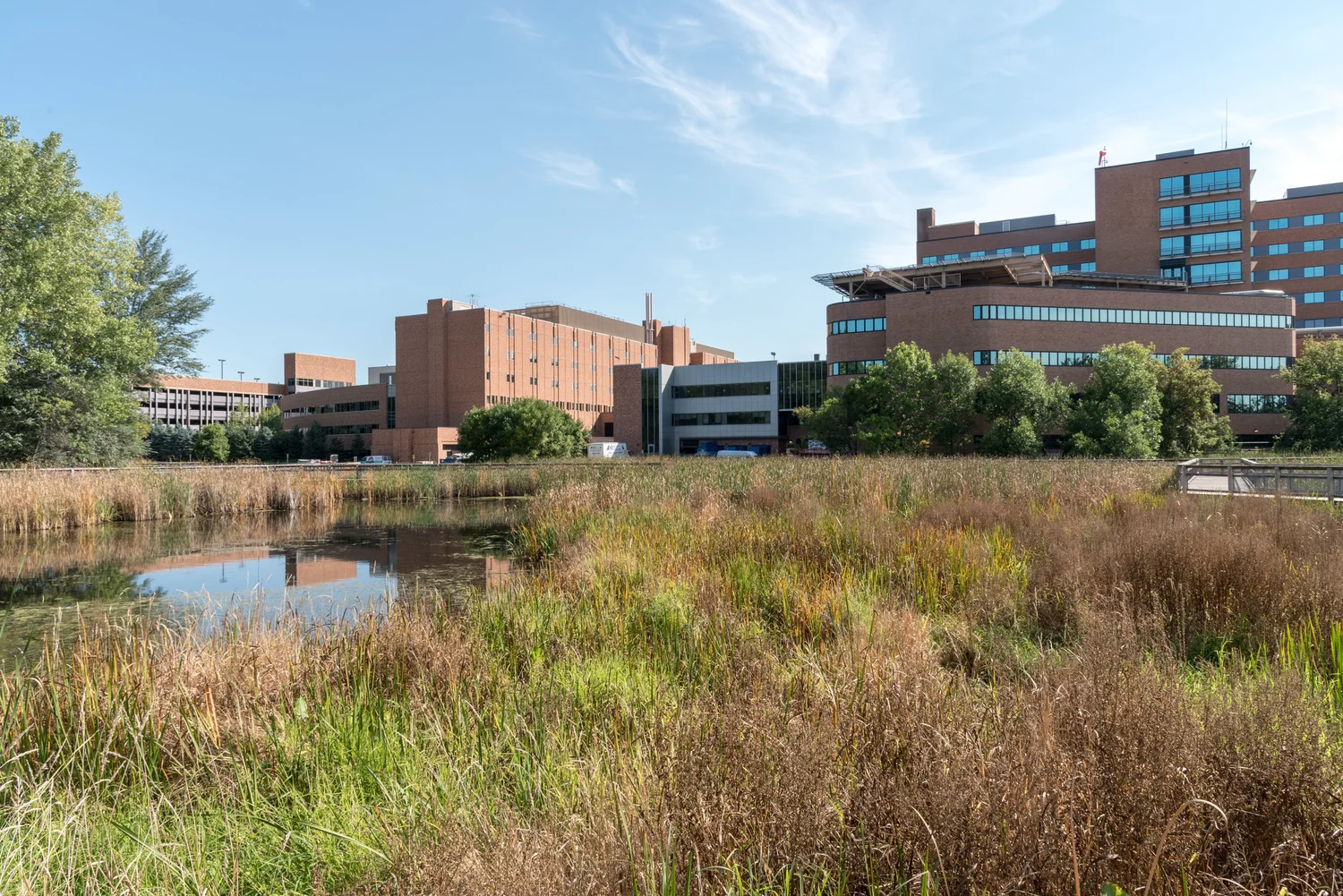 “A Peaceful Meander” Summer 2018, Methodist Hospital, St. Louis Park, MN