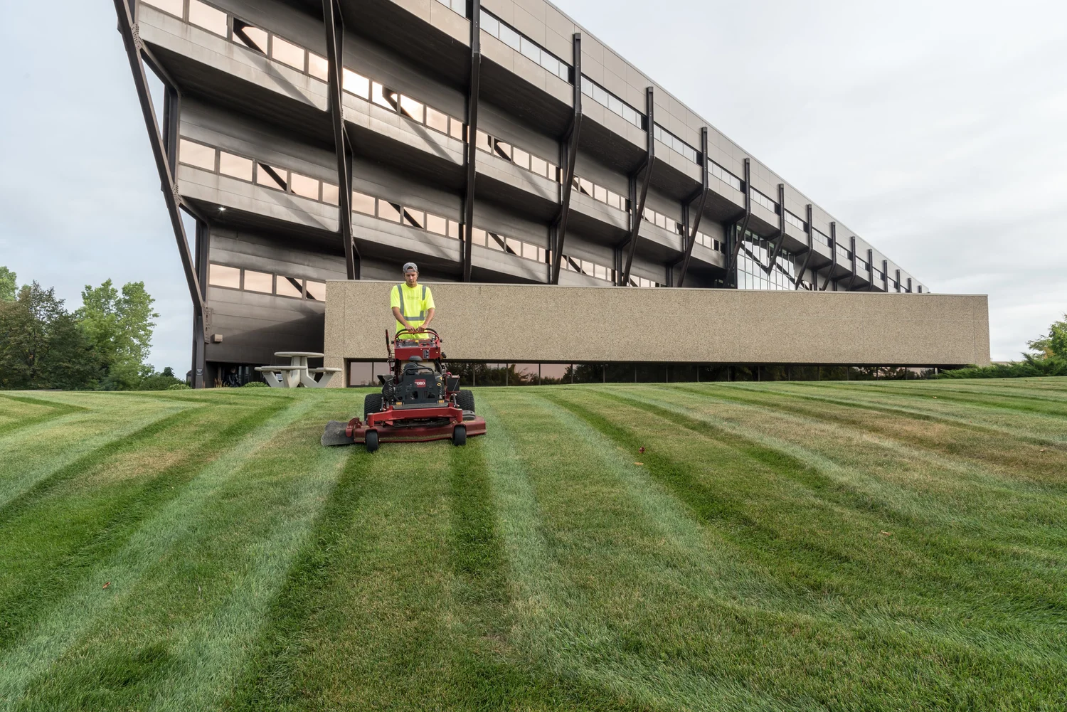 Commercial landscape maintained by the team