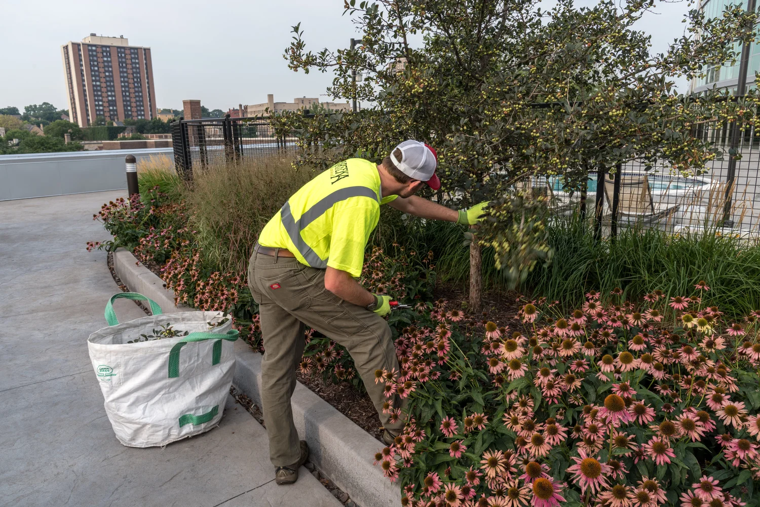 Commercial landscape beds