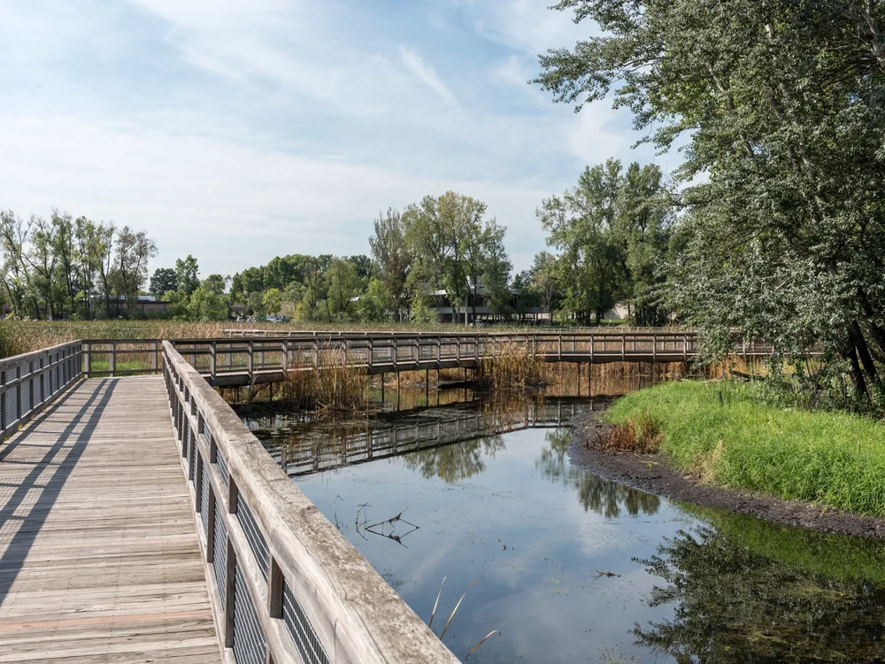 Water management landscape on the Methodist Hospital campus in St. Louis Park, Minnesota
