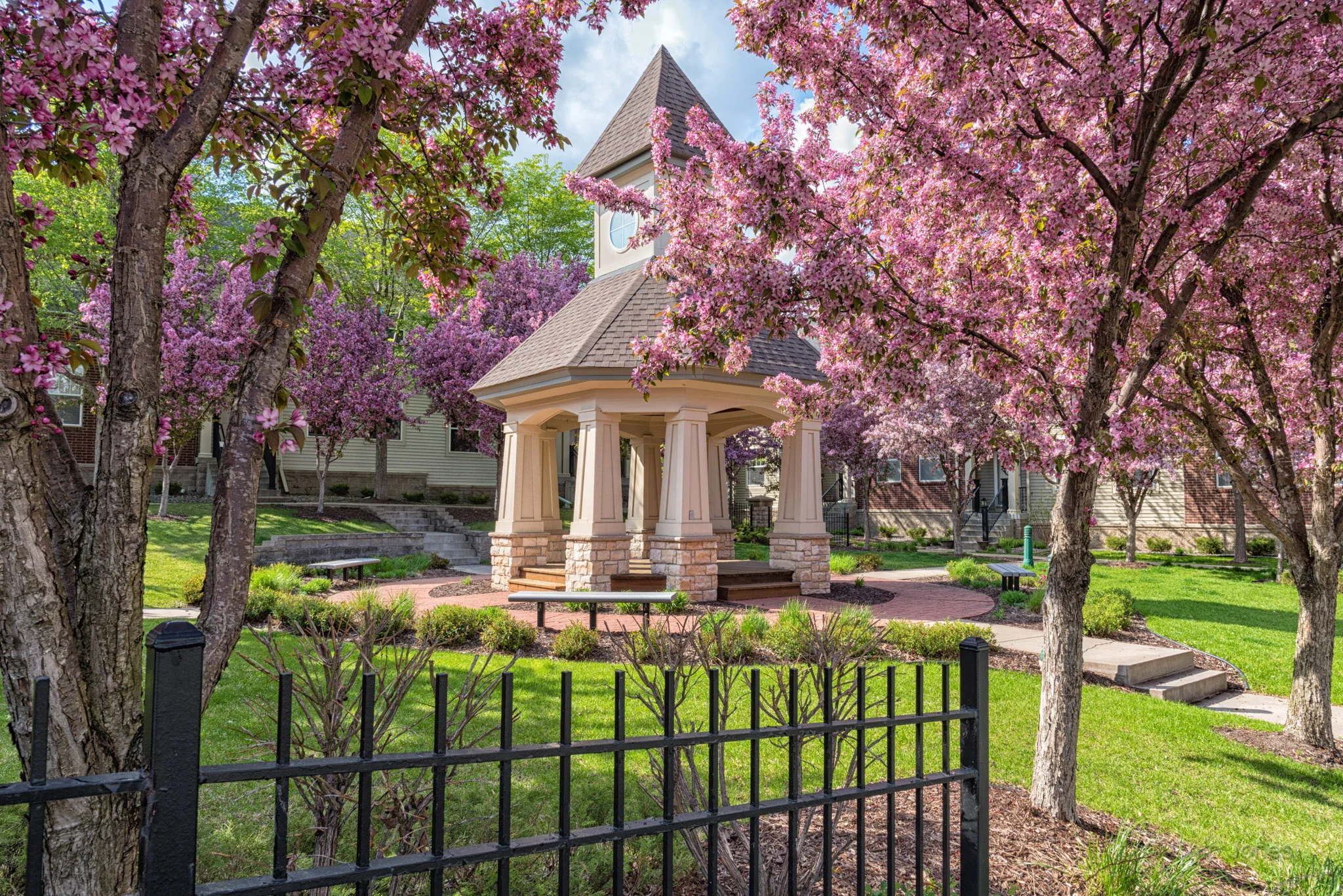 Show Stopping Apple Blossoms at Hartford Commons