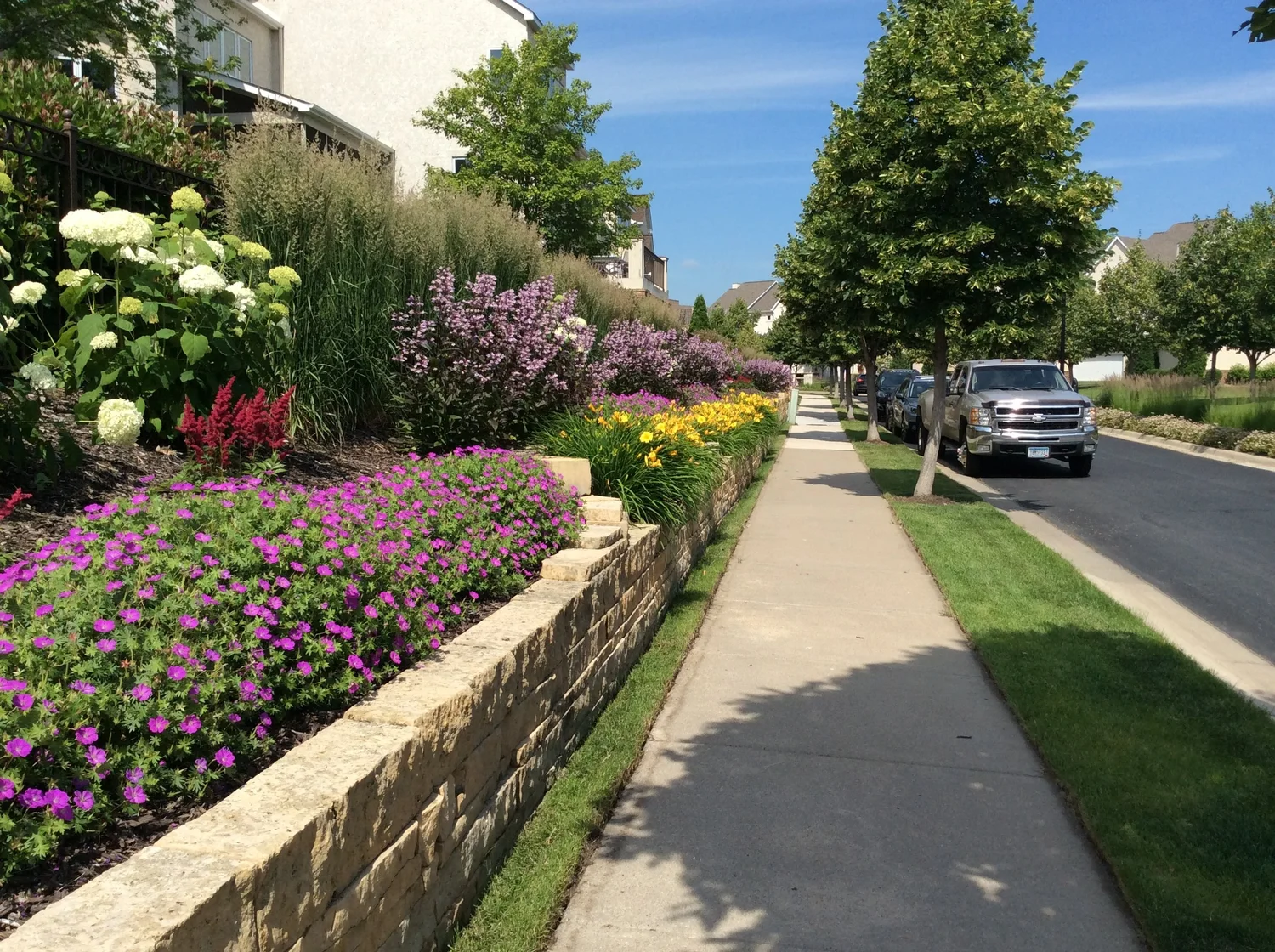 The Landings, Minneapolis MN. This multiyear renovation project required the Urban Land Care team to renovate the entire common area and redesign planted areas to remove junipers and replace them with perennial plants that included pollinator friendly plants, textures and color.